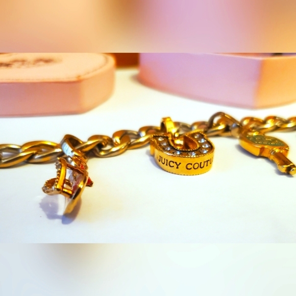 Juicy Couture Limited Edition Charm Bracelet Lot 5 Removable Charms Heart Box - Picture 3 of 14